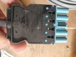 GST 18-5SB1 Z-BL Buchse - 5-polig, blau, Schraubanschluss