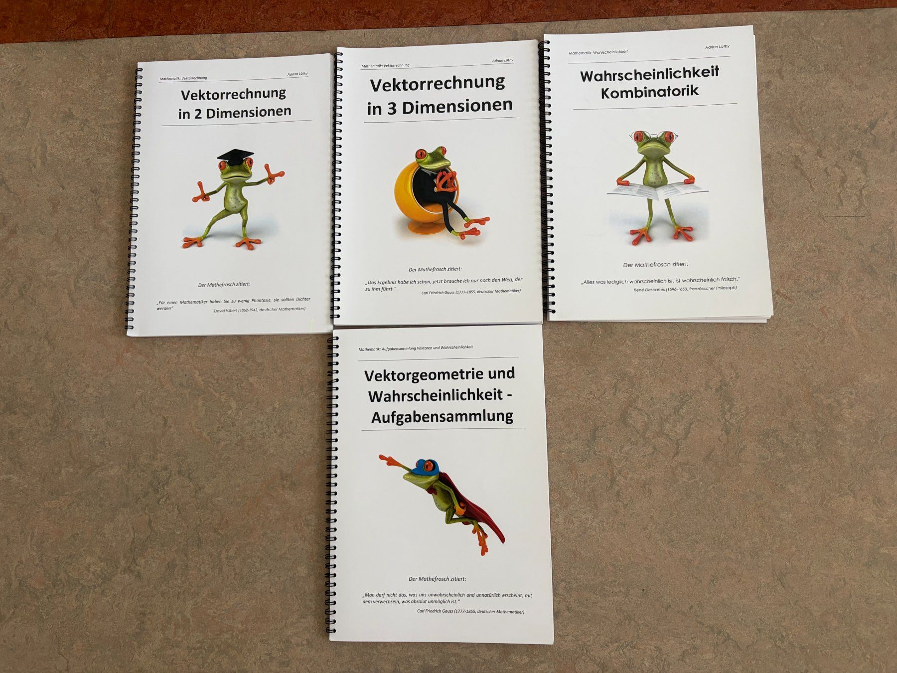 Libri: Mathefrosch - Passerelle Aarau – Usato da Wettingen venduto da lev_9txp 3