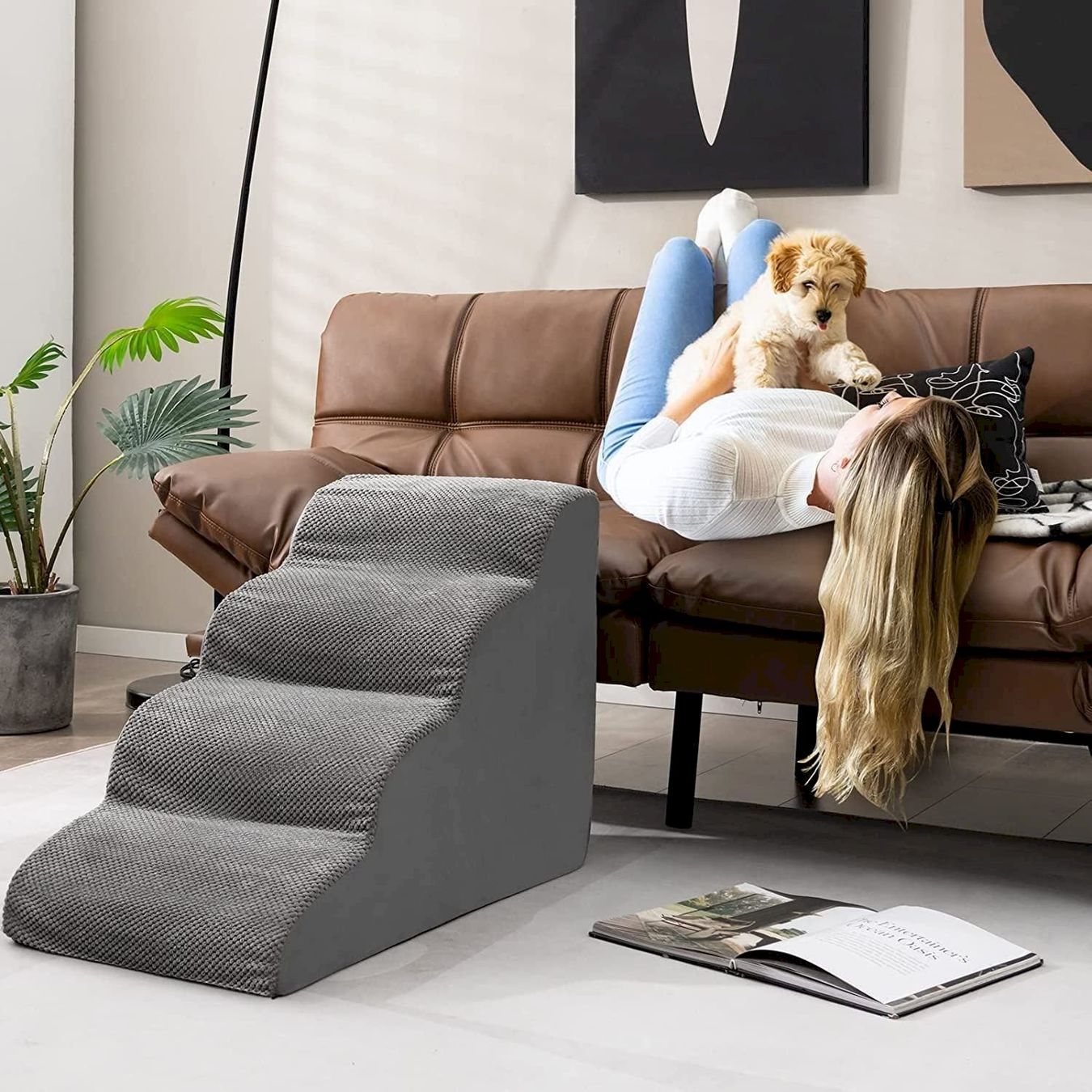 Altro in Accessori per animali: COSTWAY Hundetreppe GRAU – Nuovo e nell'imballaggio originale da Bottighofen venduto da zaap 6