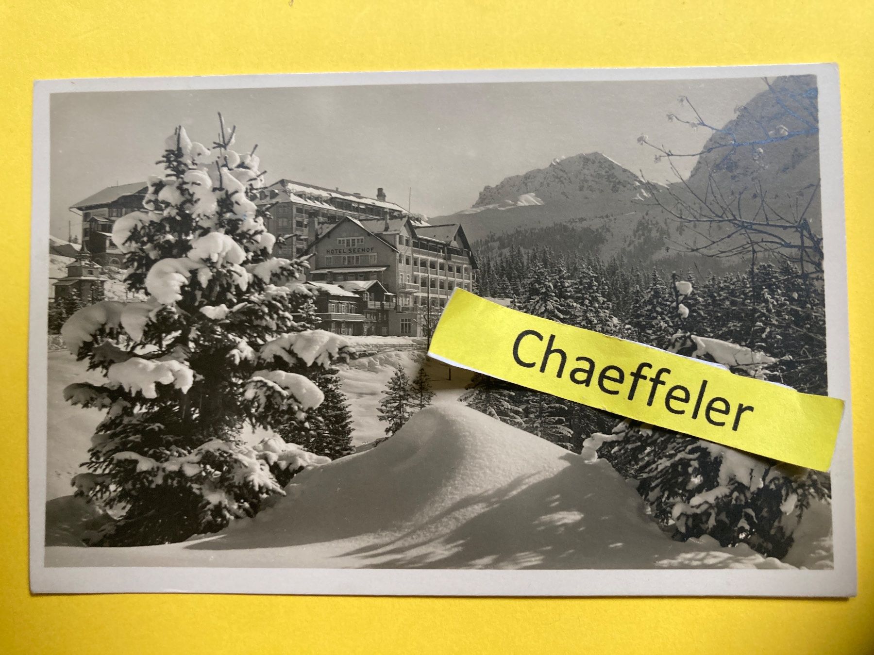 Cartoline postali: 1929 Arosa. Hôtel Seehof – Usato da Zürich venduto da Chaeffeler