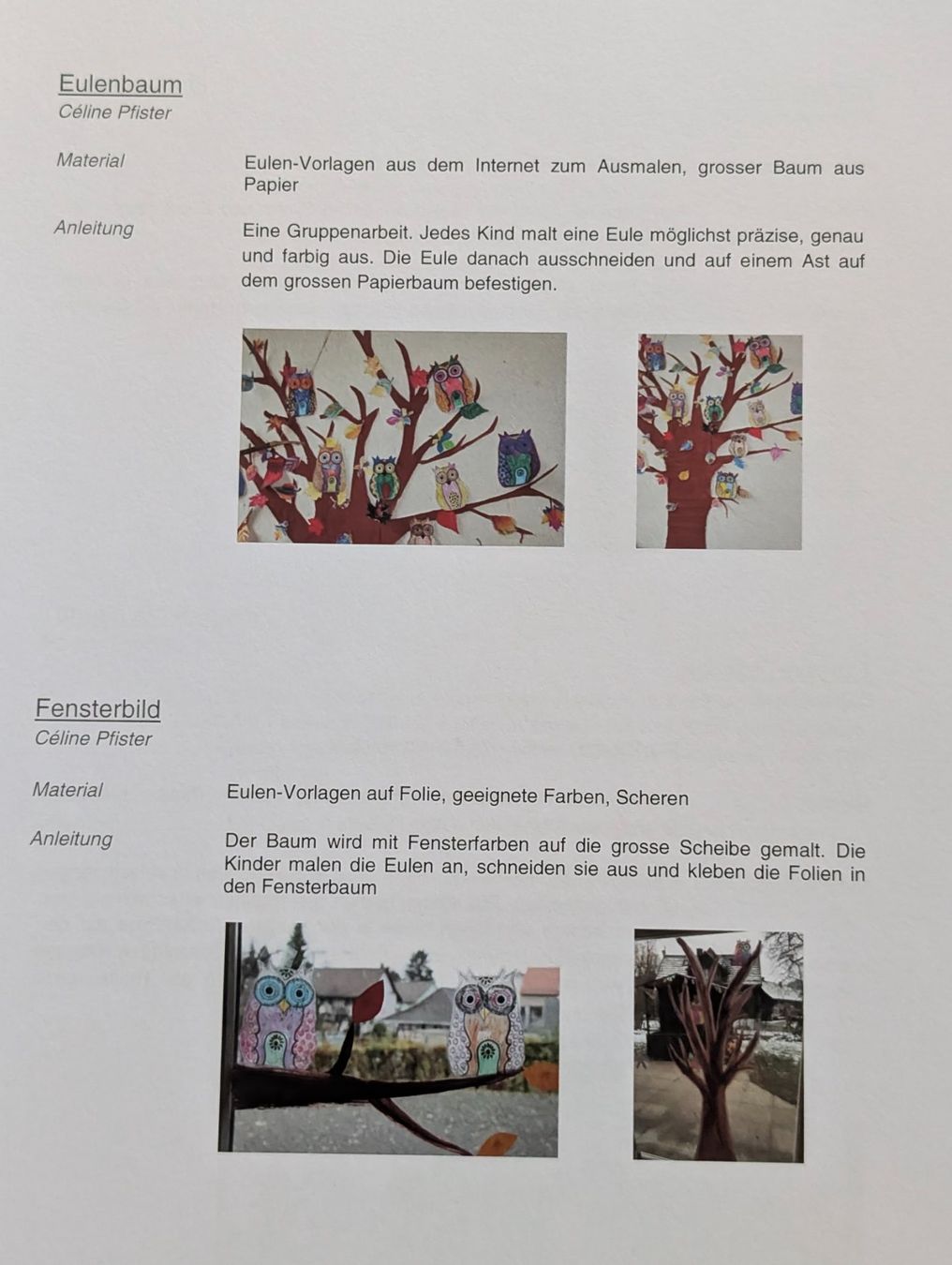 Livres: Kindergartenarbeitsmappe: Von Eulen die heulen – Neuf (Voir description) à Weite par Nur63 4
