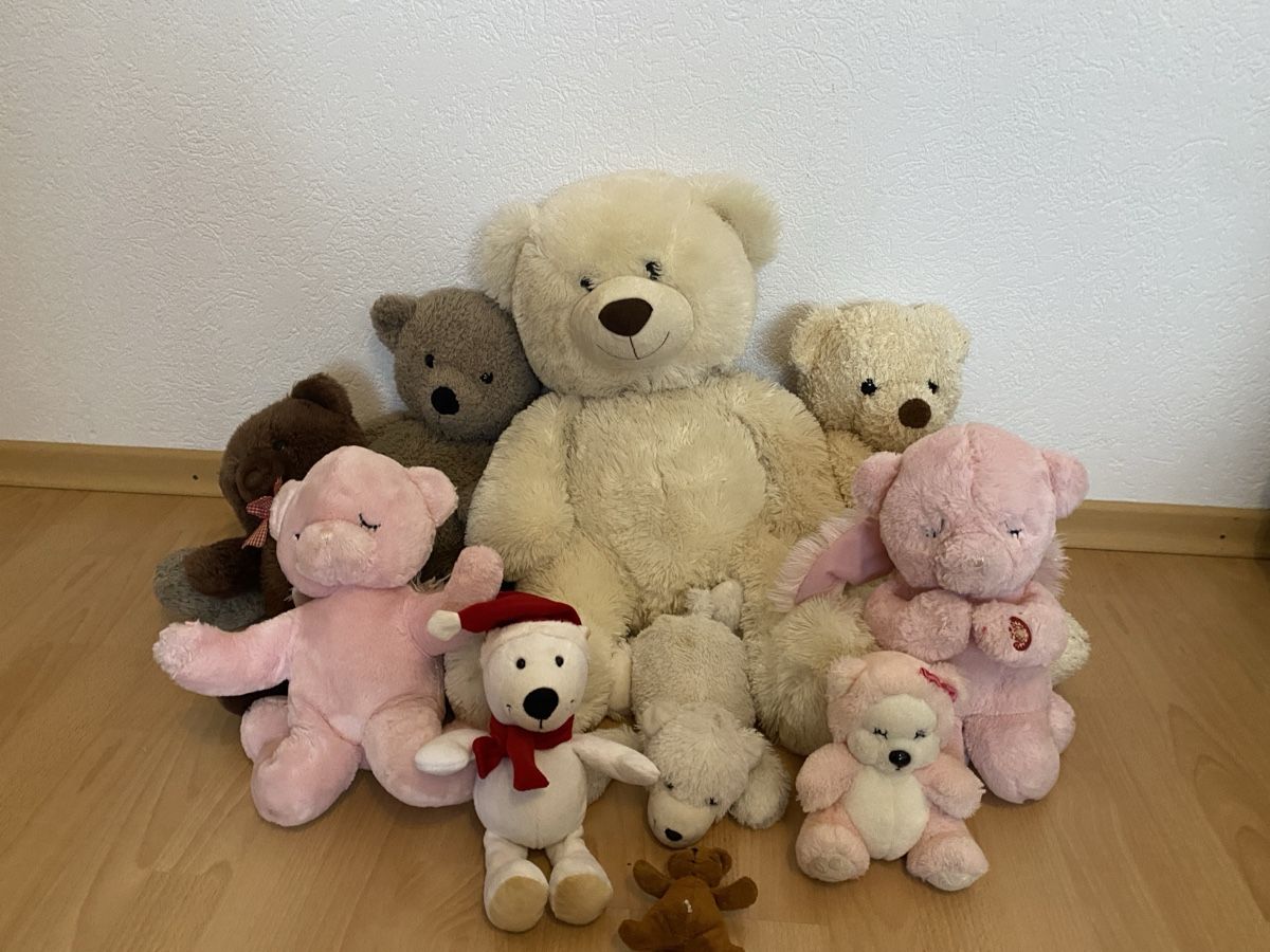 Giocattoli: Grosses Teddybär-Set, 10 Stk – Usato da Brütten venduto da Acutis2006