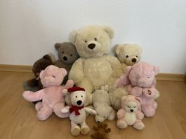 Grosses Teddybär-Set, 10 Stk