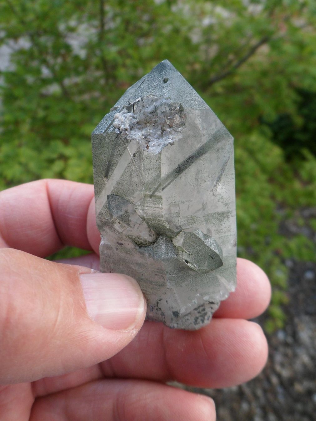 Minerali & Pietre curative: Bergkristall, Anhydritholnadel, Schweiz, Selten – Usato da Affoltern am Albis venduto da Fossil60 7