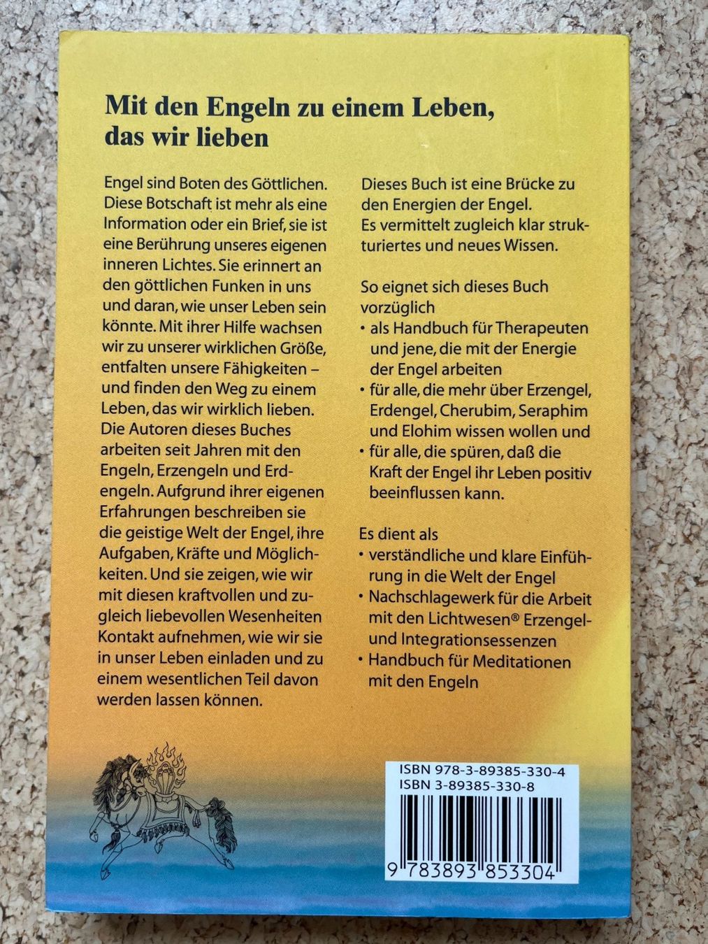 Libri: Taschenbuch "Engel begleiten uns", Schneider / Pieroth – Usato da Grosswangen venduto da Vita500 1