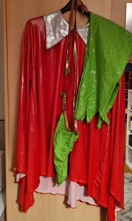Vestito di carnevale // Fasnachtskostüme