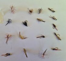 17 Stück Trockene Fliege