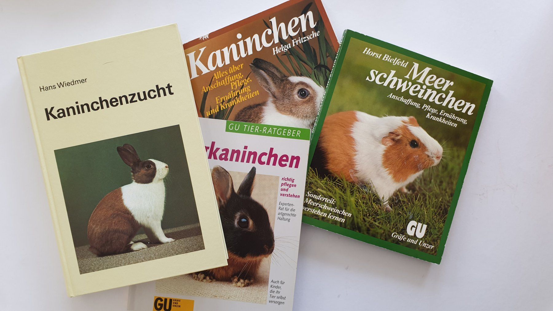 Libri: Kaninchen und Meerschweinchen – Usato da Goldach venduto da armando_r