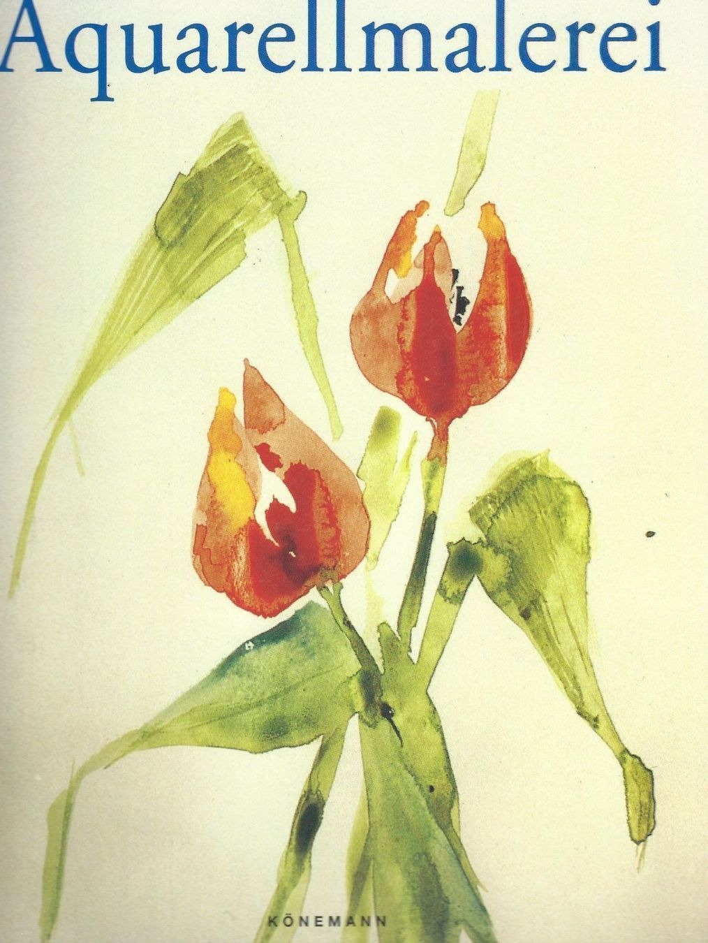 Libri: Aquarellmalerei, Sally Harper – Usato da Zürich venduto da t24_de