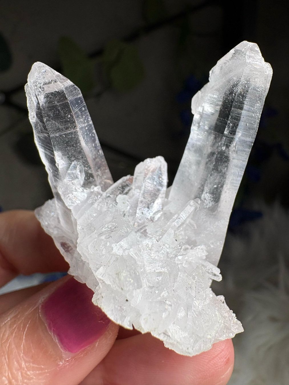 Minerali & Pietre curative: Kolumbianischer Lemurian-Quarz-Cluster – Nuovo (secondo la descrizione) da Neuheim venduto da m.hald 7