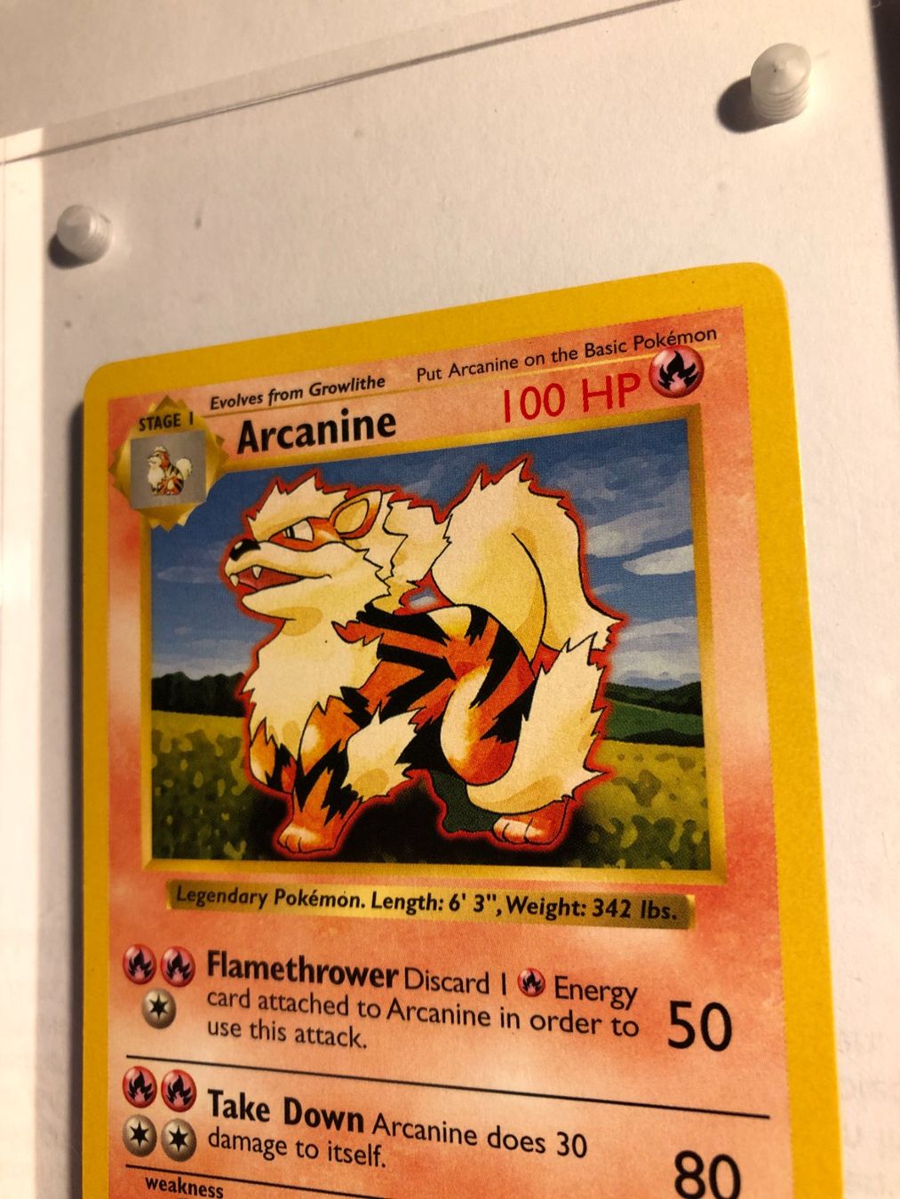 Sammelbilder & Trading cards: Arcanine (uncommon) Base Set Shadowless - MINT - ab 1.- – Gebraucht aus Giubiasco von dan_pr8b 3