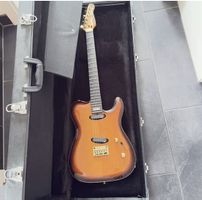 Godin Artisan TC E-Gitarre top zustand