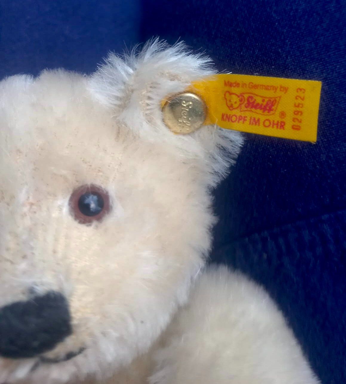 Steiff Spielzeuge: kleiner Steiff Bär Petsy – Gebraucht aus Burgdorf von glasrabe01 1