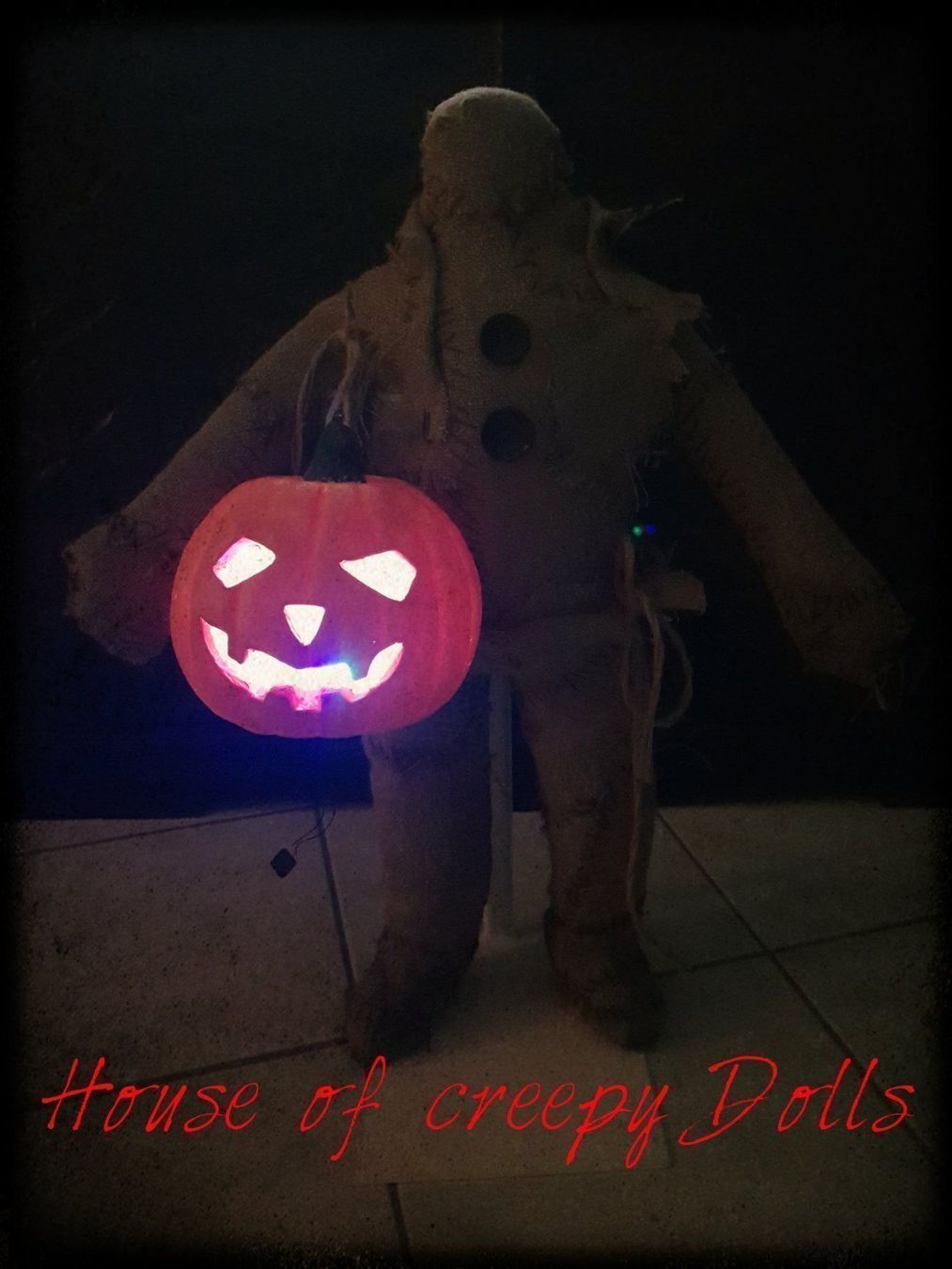 Puppen: HORROR/ HALLOWEEN KÜRBIS PUPPE – Neu (gemäss Beschreibung) aus Root von LifestyleAccessoires 1