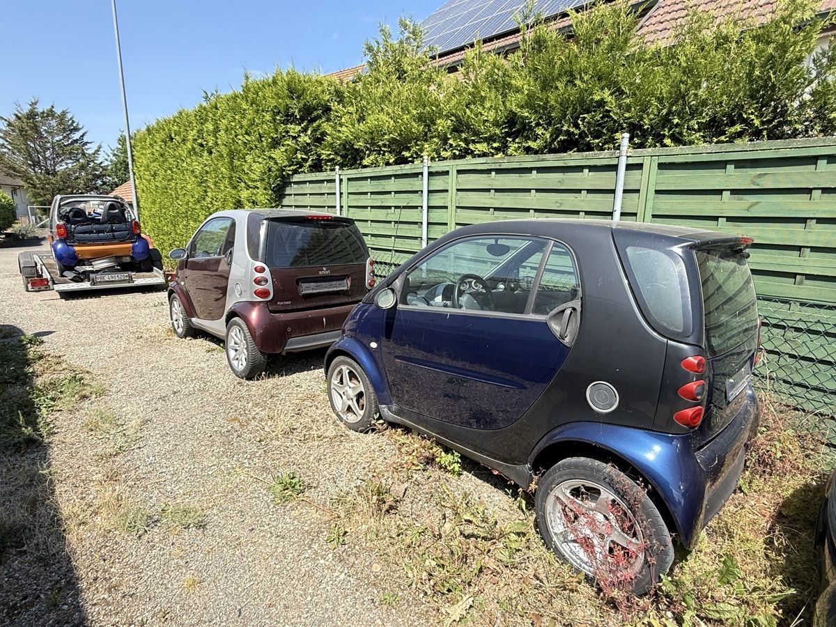 Smart Automobili: 11 Smart Autos – Usato da Niederbipp venduto da baggerch 1