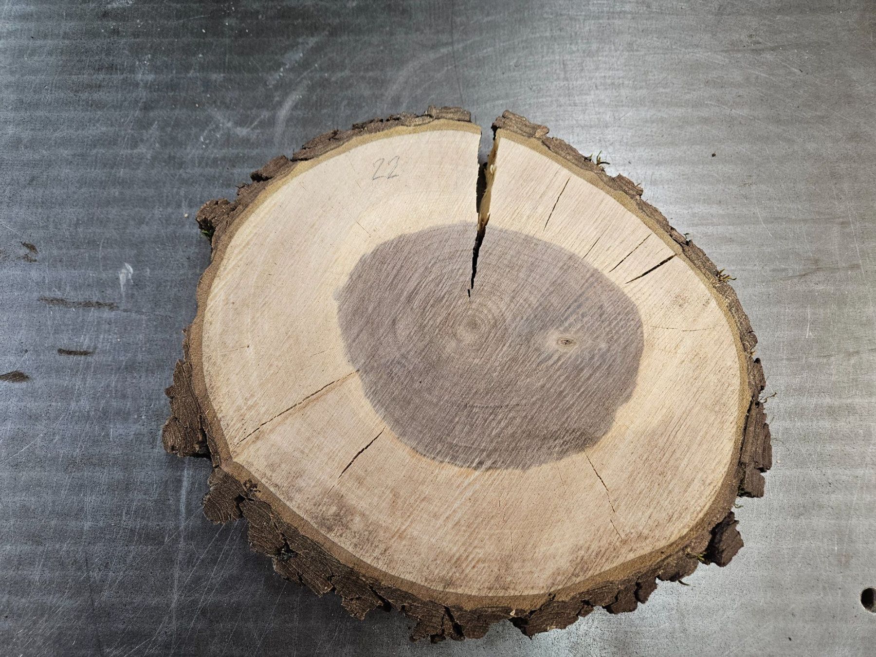 Articoli in legno: Nussbaum Holz Baumscheibe – Nuovo (secondo la descrizione) da Schangnau venduto da egli6.2