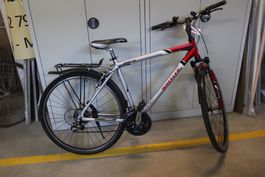 Wheeler Herrenvelo