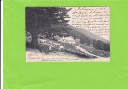 Chalet de la Mathoulaz--1904