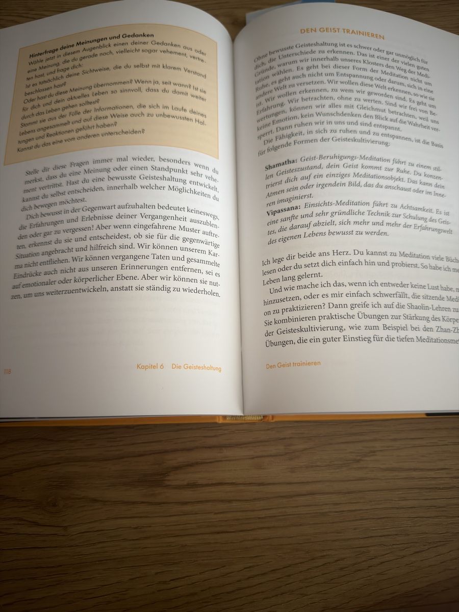 Libri: Shi Heng Yi - Shaolin Spirit – Nuovo (secondo la descrizione) da Rapperswil SG venduto da Bruni1994 1