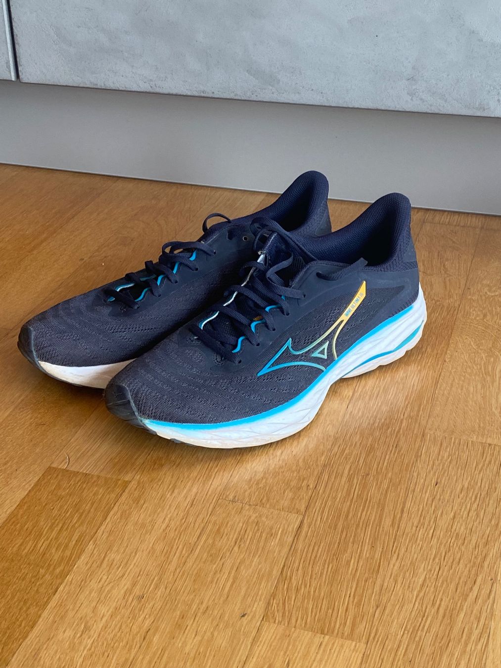 Mizuno Scarpe da uomo: Laufschuhe Mizuno Grösse 42 – Usato da Trin-Mulin venduto da Tintengoldfisch