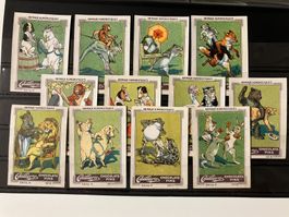 Cailler Serie Tierhumor 1-12