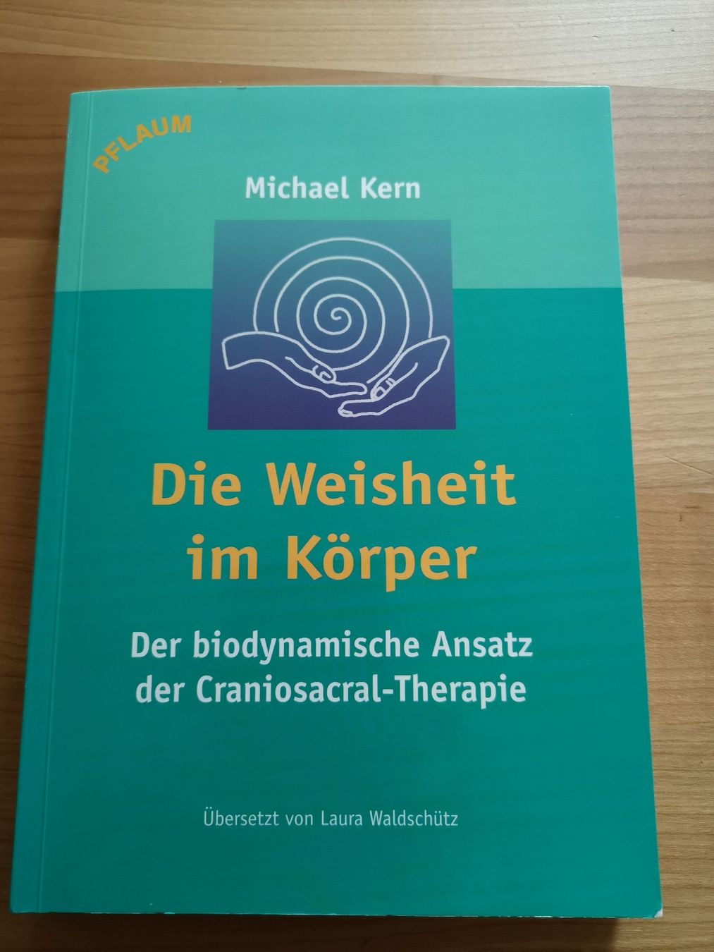 Libri: Michael Kern, Die Weisheit im Körper – Usato da Berneck venduto da Schlings