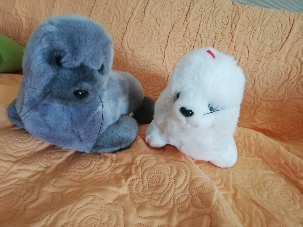 Spielzeuge: Peluches – Neu und originalverpackt aus La Sagne VD von bri_d6b5