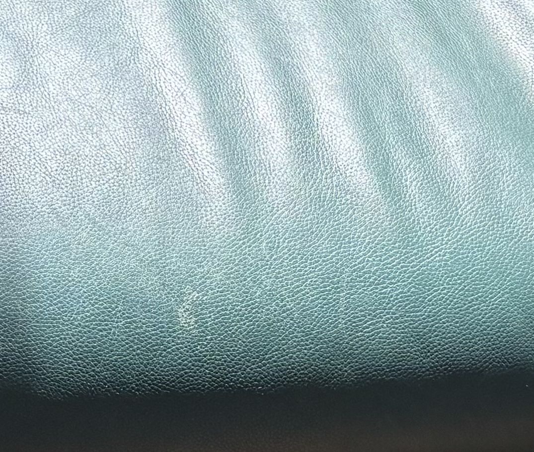 Leolux Sofas: Leolux Tango Grünes Sofa – D'occasion à Zürich par len_yj7n 3