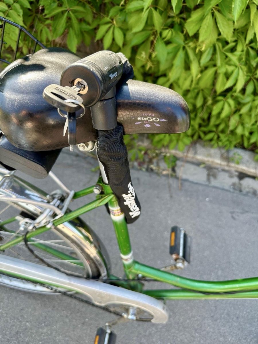 Velos: Damenvelo Kristall 3 Gänger – Gebraucht aus Zürich von RickyNicky 6