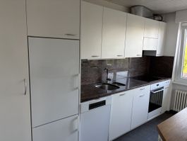 Küchenzeile mit Kühlschrank, Geschirrspüler, Ofen