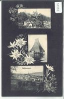 Wädenswil - 3 Bilder - Edelweiss-Karte