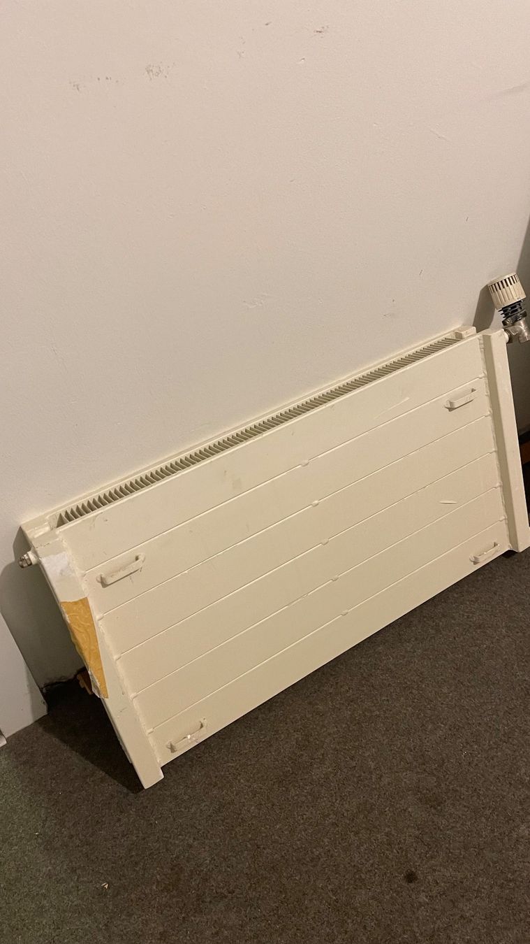 Zehnder Heizgeräte: Flache Heizungskörper von Zehnder – Gebraucht aus Othmarsingen von ami_9f5j 2