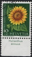 10 Rp. Sonnenblume mit TAB (Helianthus annuus)