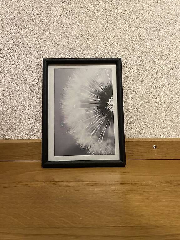 Foto & Immagini: Diverse Bilder (Swipe) – Usato da Thun venduto da mon_nk6p