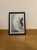 Diverse Bilder (Swipe)