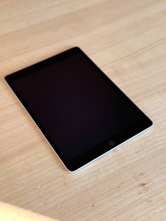 Apple Tablet PC: iPad 9, 64 GB, space grey – Gebraucht aus Zürich von badeferien 4