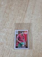 Panini Hakimi extra bronze M