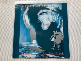 Siouxsie And The Banshees