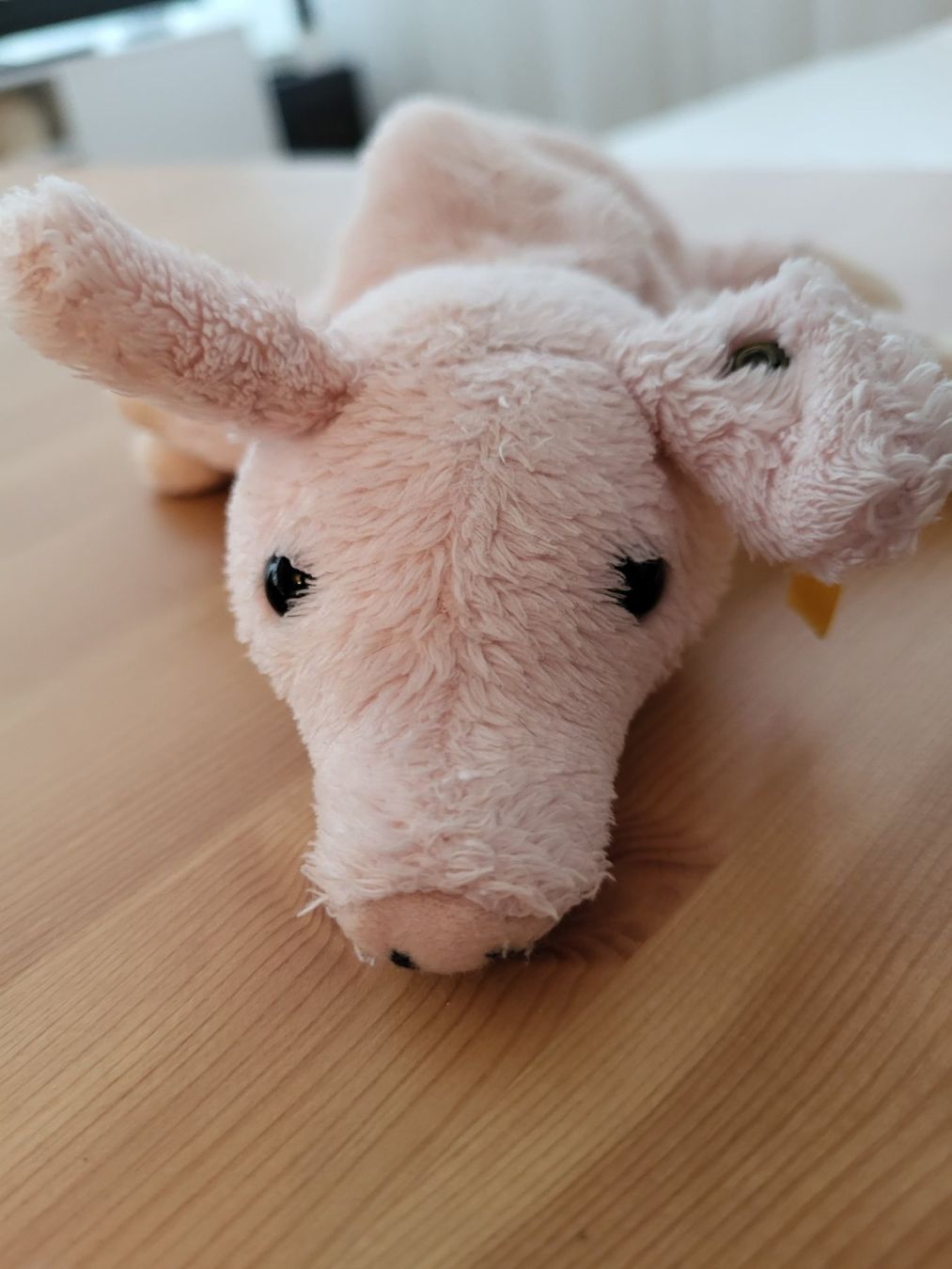 Steiff Giocattoli: Schweinchen von Steiff – Usato da Küsnacht ZH venduto da Jasmin2000