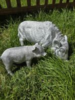 Schweine-Deko-Set zum Sparen, geht noch bis 11. Mai 26