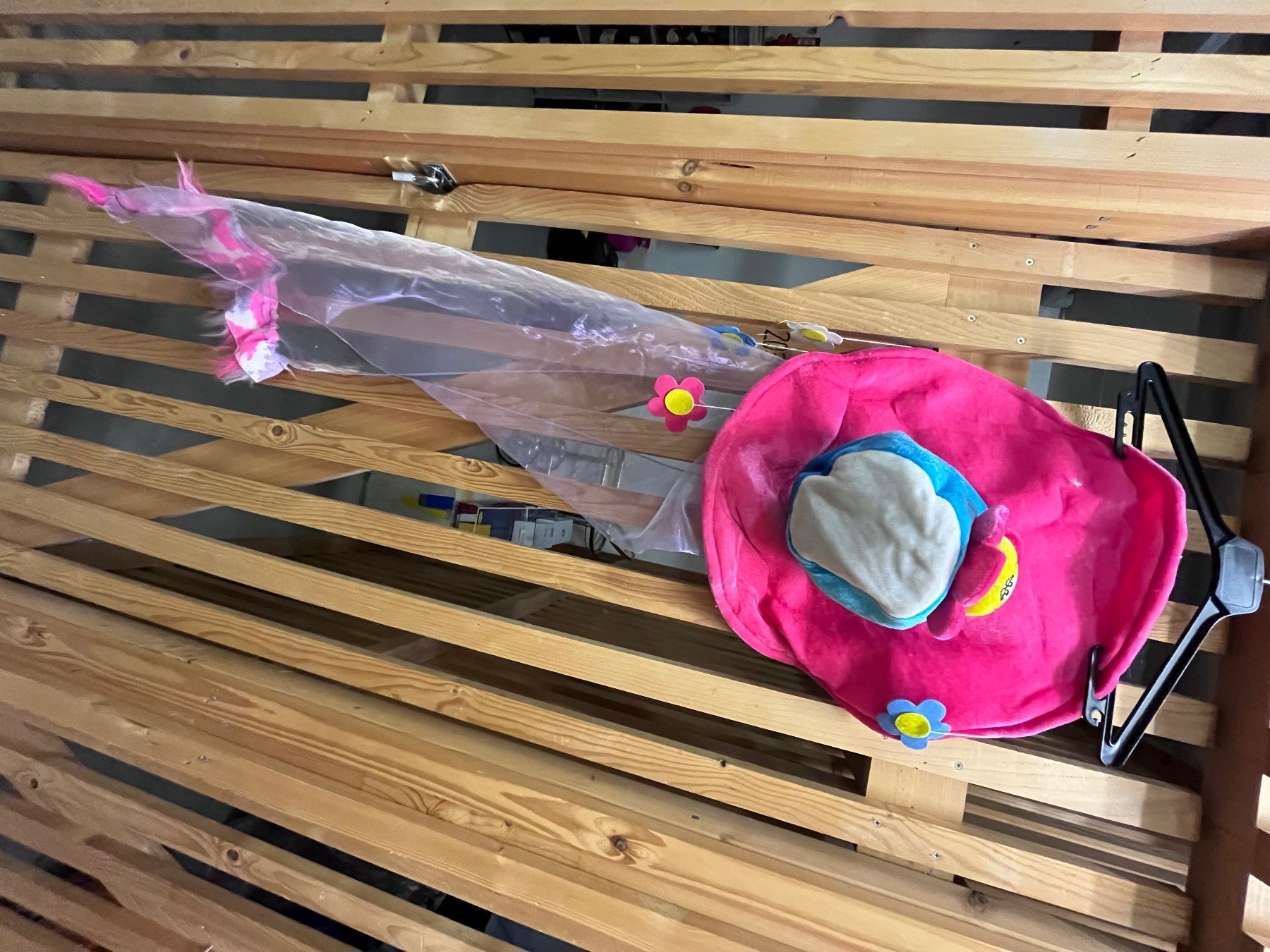 Costumi: Fasnacht Hut – Usato da Küssnacht am Rigi venduto da ciucchino 6