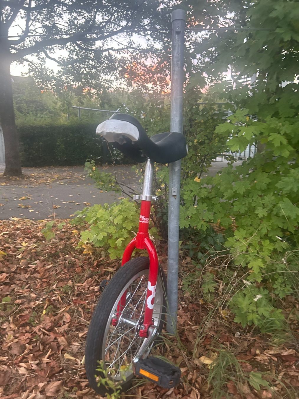 Velos: Einrad – Gebraucht aus Aarau von yil_vr9s 2