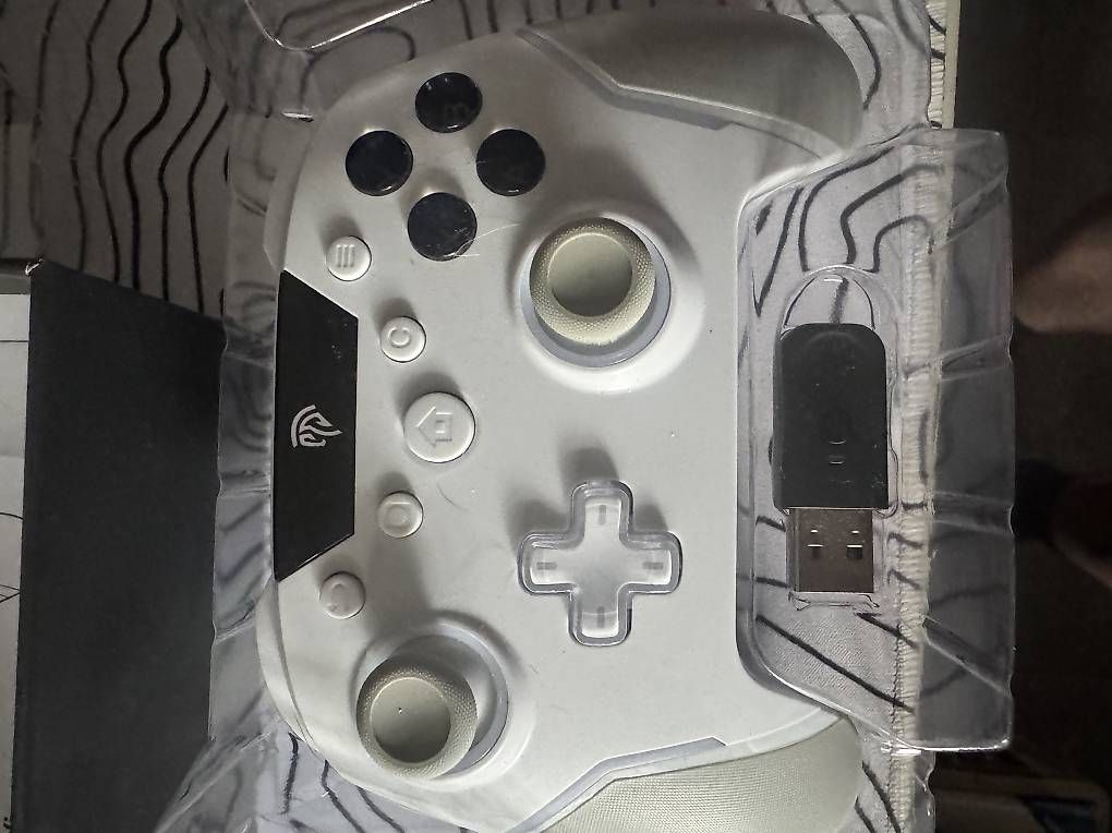 Controller: Switch Spielkontroller – Usato da Wengi b. Frutigen venduto da Tomaeg0 2