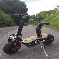 MAD Scooter mit Strassenzulassung