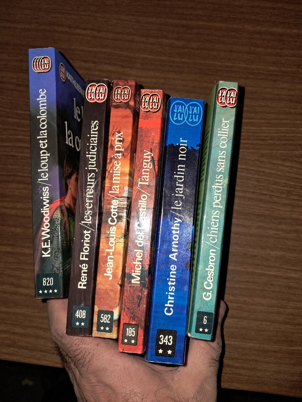 Bücher: Lot de 6 romans divers – Gebraucht aus Le locle von juliensaran 1