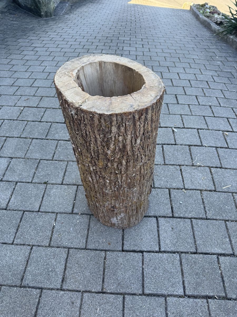 Articoli in legno: Rustikaler Baumstamm mit durchgehendem Loch – Nuovo (secondo la descrizione) da Reichenburg venduto da Noele123