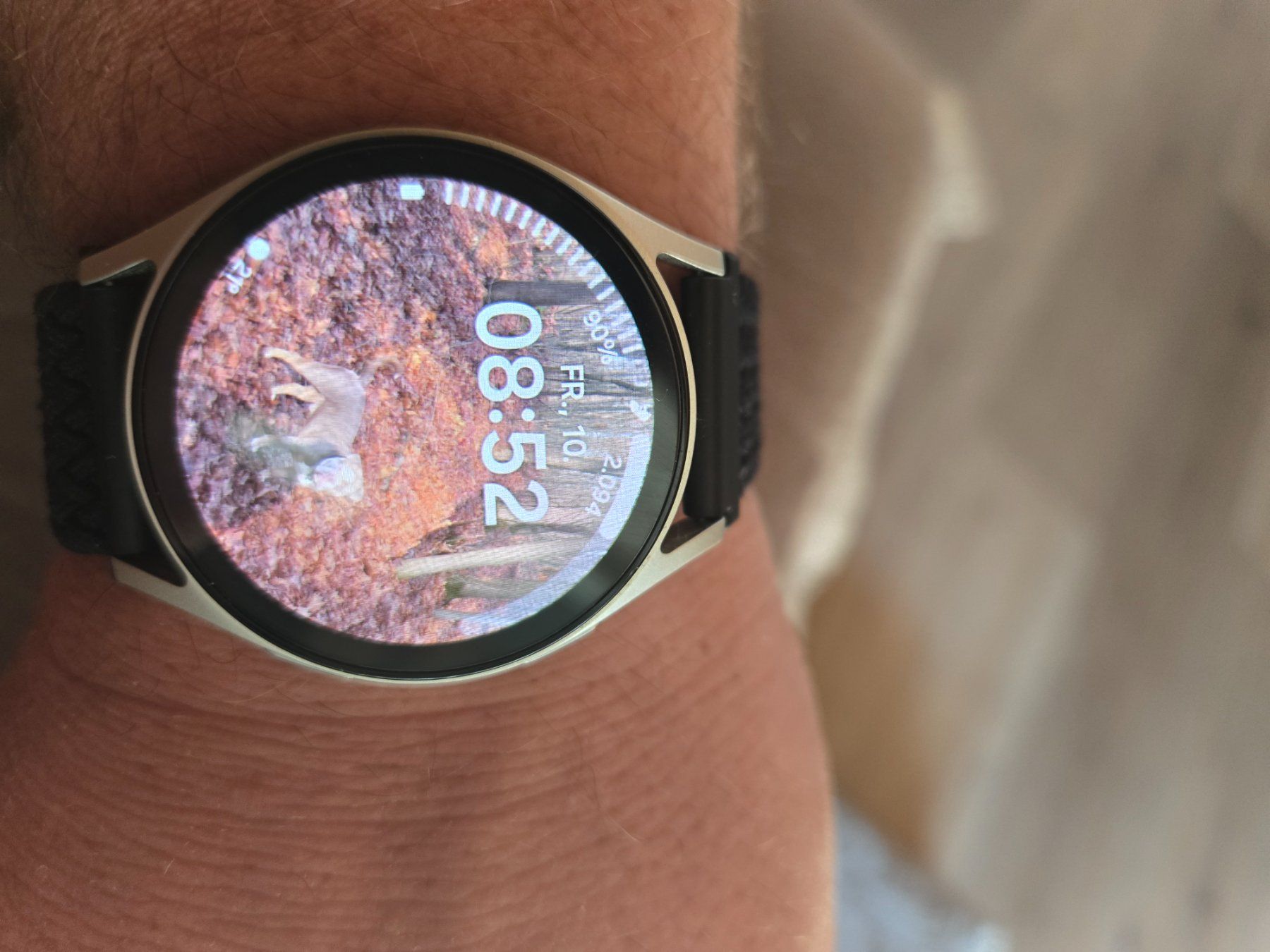 Samsung Smartwatch: Samsung Galaxy Watch 7 BT 40 mm – Gebraucht aus Buttwil von fam_yn5w 1