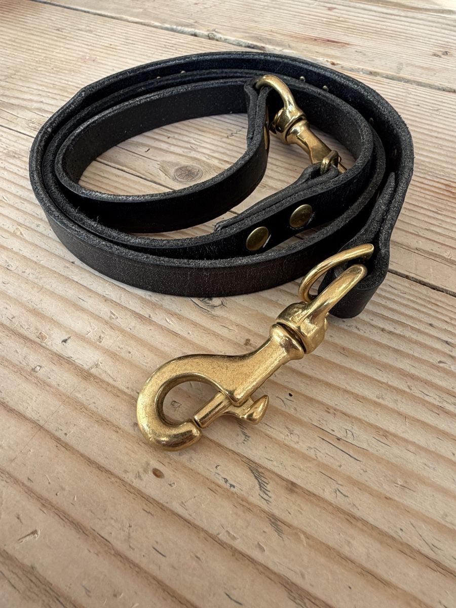 Leine & Halsband: Appenzeller Hundeleine Messing – Neu und originalverpackt aus Biel/Bienne von euro3000 2