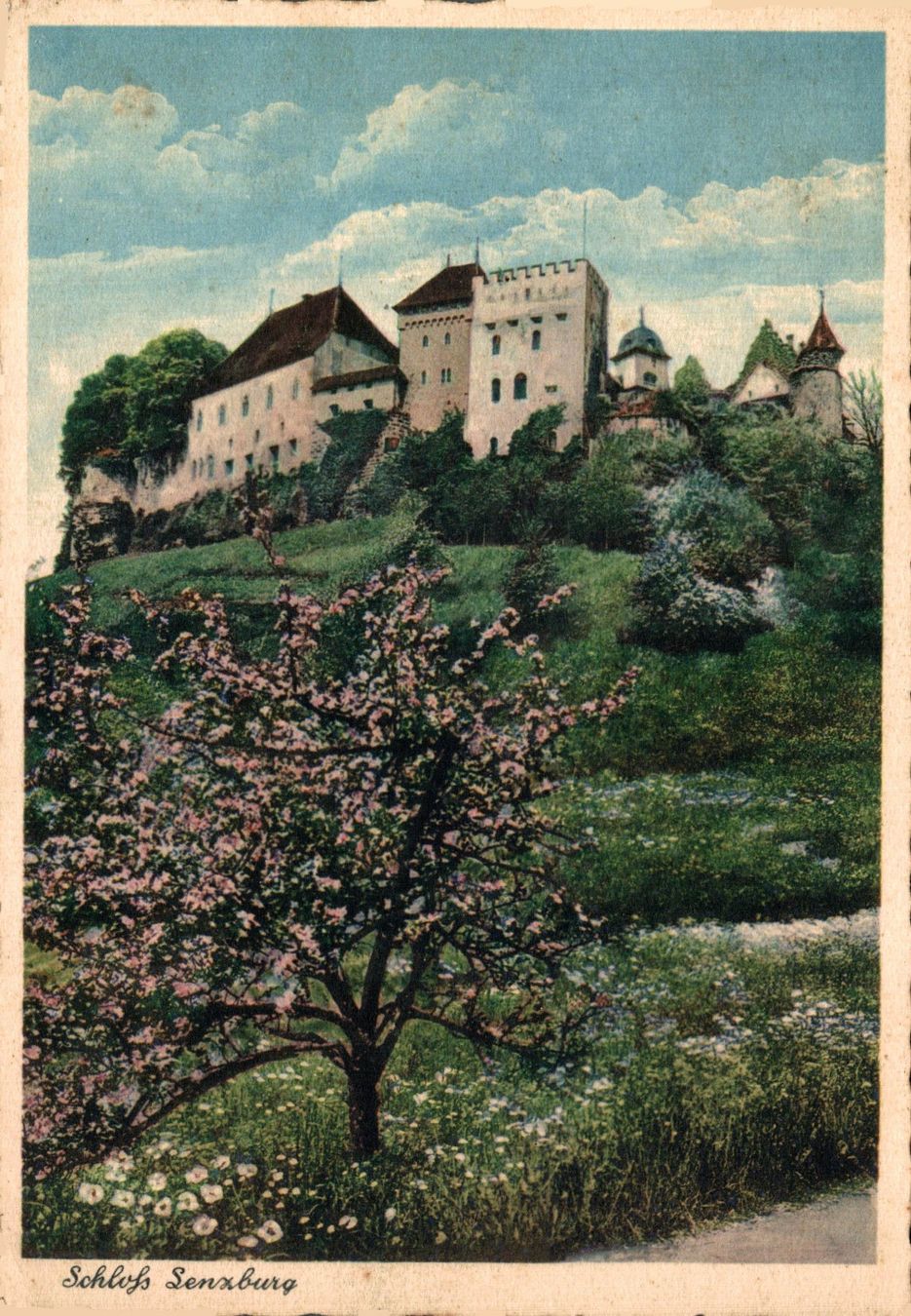 Cartoline postali: Schloss Lenzburg – Usato da Bronschhofen venduto da Astore