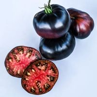 Black Beauty Bio - Fleischtomate - 15 Samen